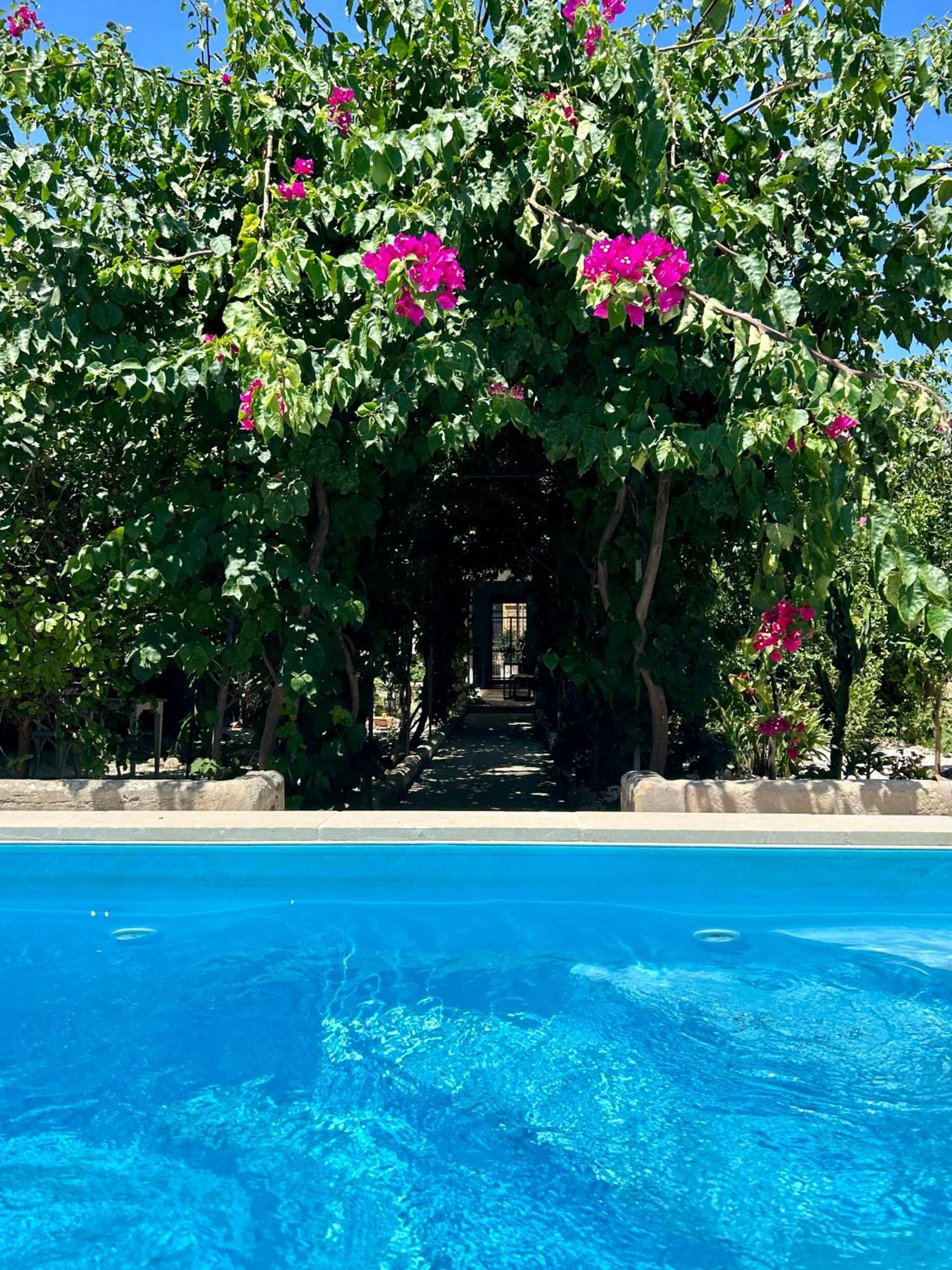 B&B Don Alessandro Surbo Εξωτερικό φωτογραφία