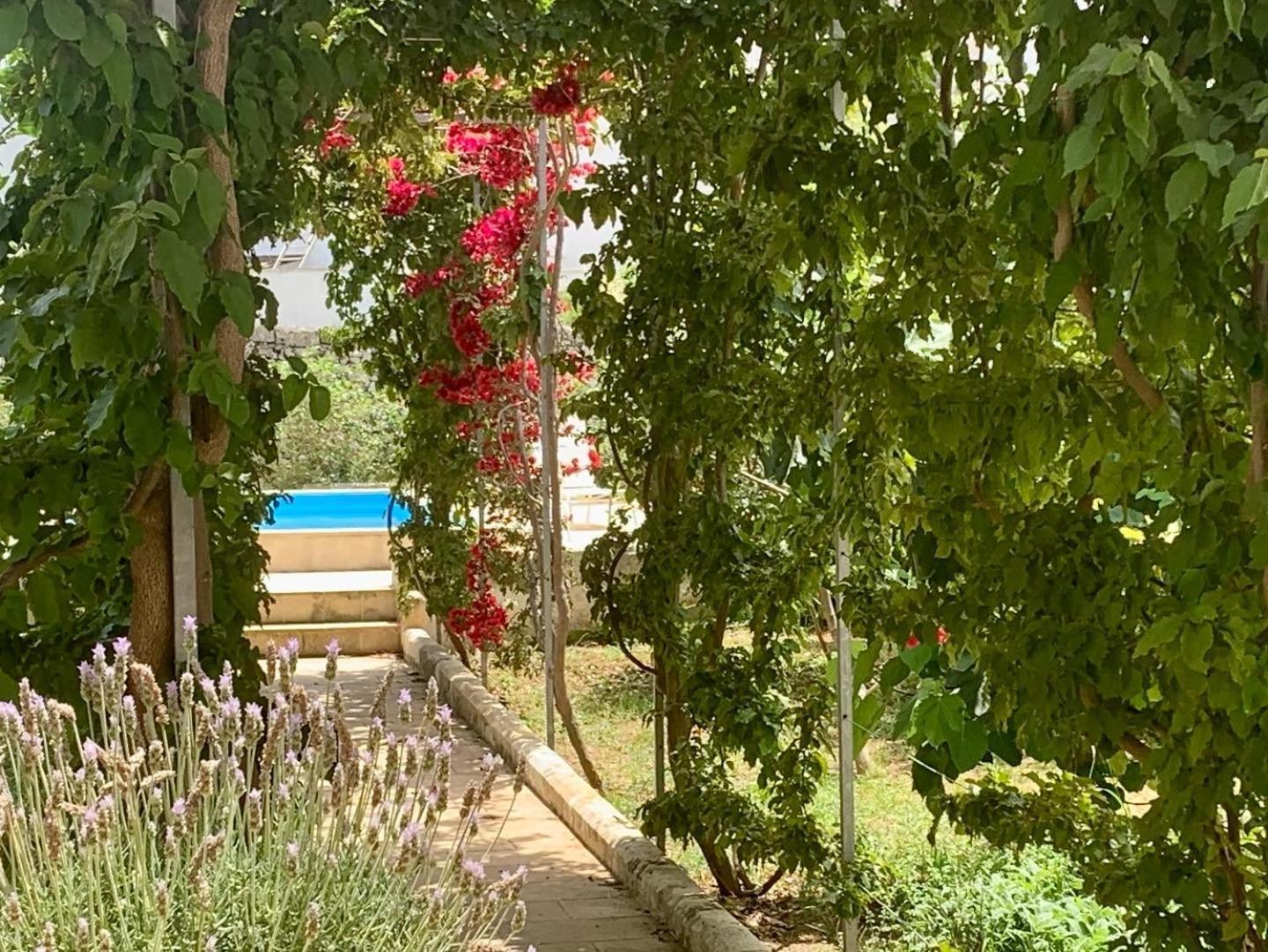 B&B Don Alessandro Surbo Εξωτερικό φωτογραφία